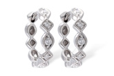 A046-82641: EARRINGS .22 TW