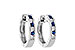 A046-85369: EARRINGS .16 SAPP .26 TGW