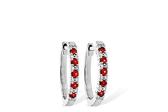A235-95441: EARR .24 RUBY .30 TGW
