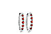 A235-95441: EARR .24 RUBY .30 TGW