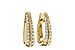 B320-49078: EARRINGS 1.00 TW