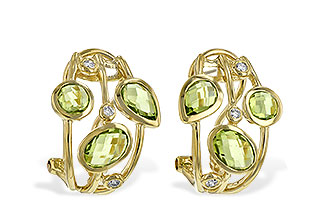C235-04523: EARR 2.76 PERIDOT 2.83 TGW