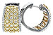 D235-03596: EARR 2.14 YELLOW DIAS 2.45 TW