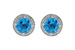 E233-21814: EARR 4.22 BLUE TOPAZ 4.41 TGW