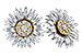 E319-58150: EARRINGS .14 TW