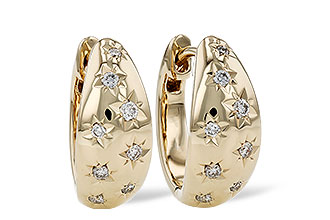 E321-37241: EARRINGS .17 TW