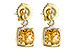 G235-05404: EARR 1.66 CITRINE 1.70 TGW