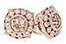 H234-13568: EARR .75 MORGANITE .98 TGW