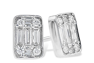 K318-65450: EARR .19 BAG .30 TW