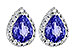 L235-97259: EARR 1.15 TW TANZANITE 1.32 TGW
